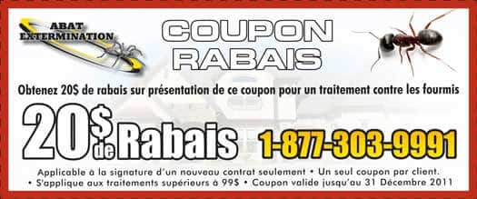 coupon reduction fourmis abat extermination coupon reduction fourmis abat extermination