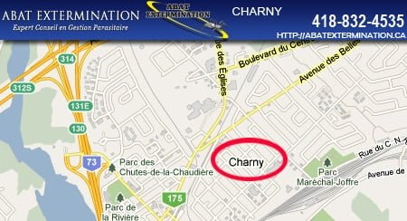 exterminateur-charny Exterminateur Charny, Quebec