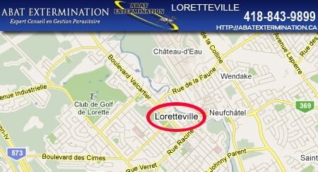 exterminateur-loretteville Exterminateur Loretteville 418 843 9899