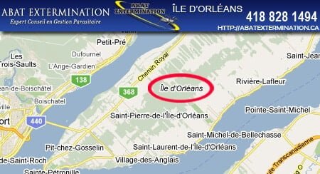 ile-orleans-exterminateur Exterminateur île d'Orléans. Qc | extermination fourmis charpentières