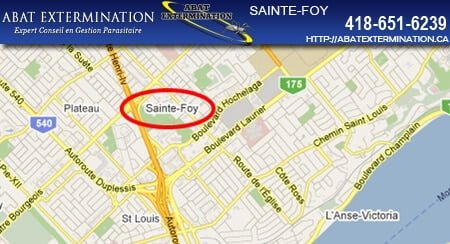 ste-foy-abatexterminateur Sainte Foy Exterminateur 418 651 6239