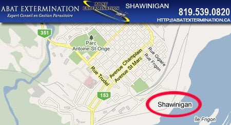 Shawinigan-exterminateur Shawinigan exterminateur extermination quebec