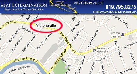 exterminateur-victoriaville Exterminateur Victoriaville