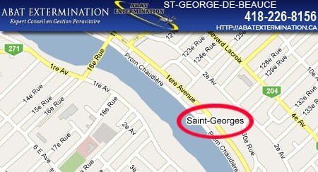 St-George-de-Beauce-exterminateur