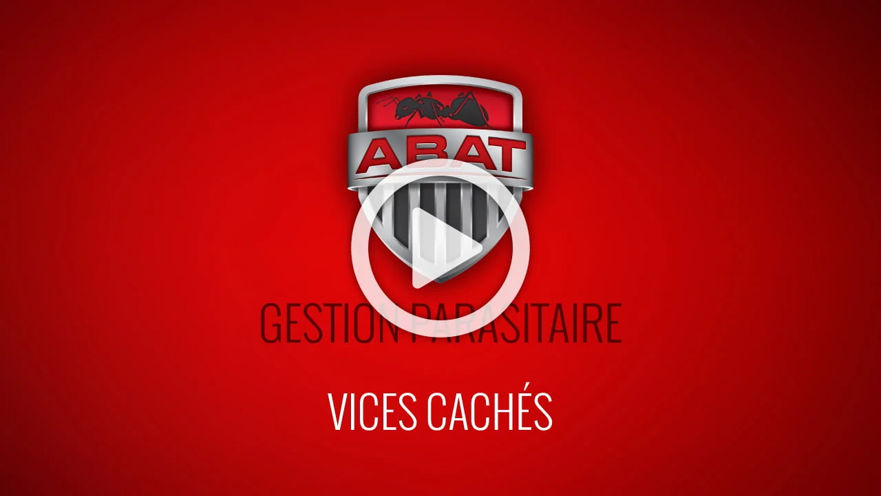 extermination vices cachés