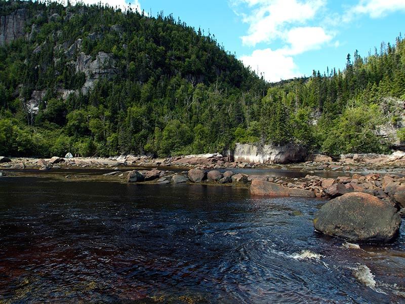 Exterminateur Baie-Comeau