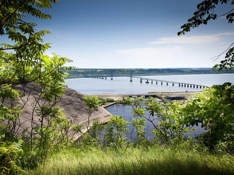 Exterminateur Îles Orléans