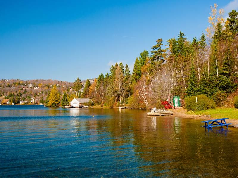 Exterminateur Lac Beauport