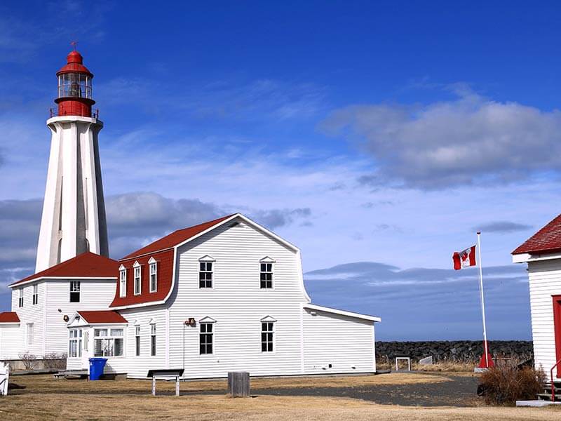 Exterminateur Rimouski