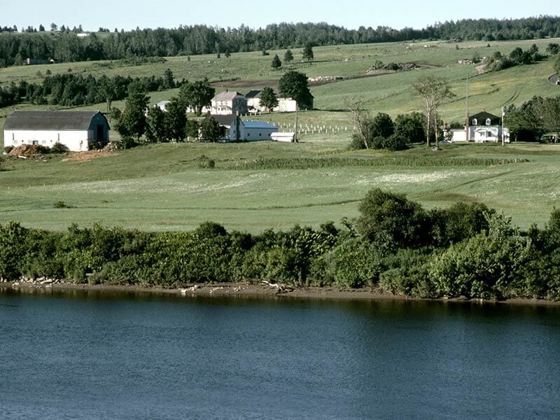 Exterminateur Ste-Marie de Beauce