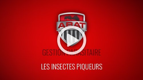 Les insectes piqueurs