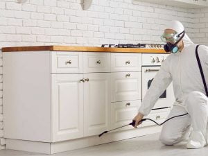 Technicien appliquant de l'insecticide au bas des armoires de cuisine.