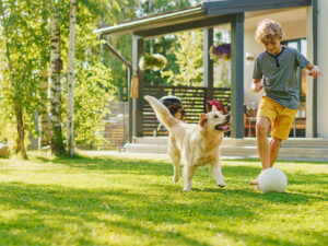 Enfant pieds nus dans le gazon jouant au ballon avec son chien.